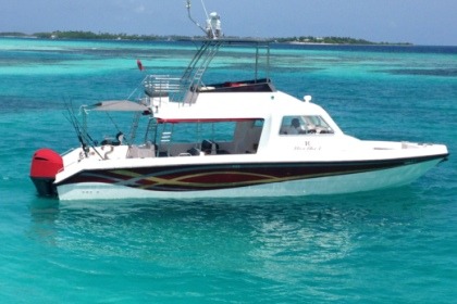 Rental Motorboat Gulf Craft, CUSTOM DESIGN Malé