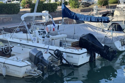 Alquiler Lancha Acm Sunfisher 200 Cogolin