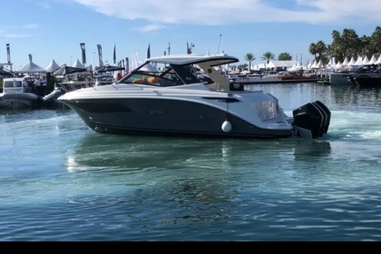 Charter Motorboat Sea Ray 320 Sundancer Sea Ray 320 Sundancer Ajaccio