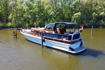 Enjoy the nnature in National Park the Biesbosch