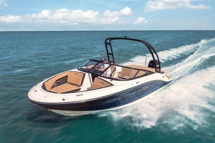 Charter Motorboat Sea Ray 190 Spx Puerto de Andratx