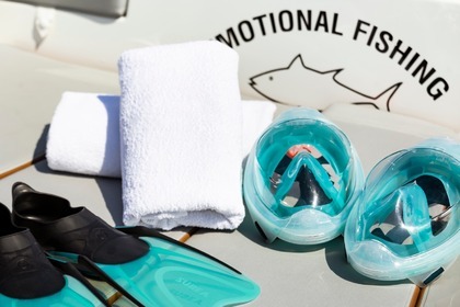 Alquiler de motora para 10 personas en Denia