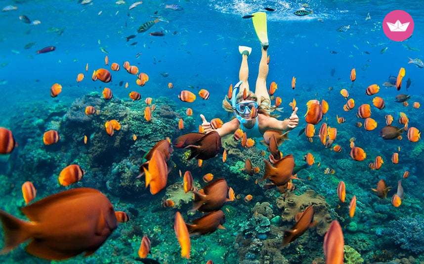 Ct-47 Classic Ketch Incl. Lunch in Valletta  