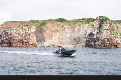 Location Semi-rigide 3d Tender Patrol Hendaye