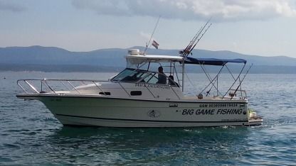 Charter Motorboat Trophy Trophy 2801 Wa Bol