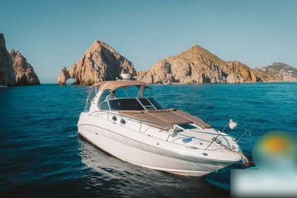 Charter Motorboat Sea Ray 32ft Cabo San Lucas