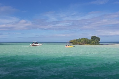 barca per visitare le isole e mangrovie