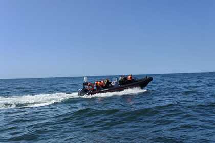 Verhuur RIB Gemini Waverider 880 Blankenberge