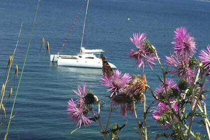 Location Catamaran Looping 50 Hyères