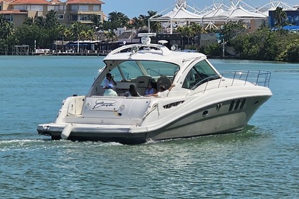 Hire Motorboat Sea Ray Sundacer 50 Cancún