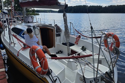 Janmor 28 sy Palomino Zalew wiślany.