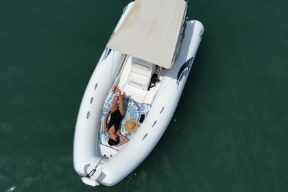 Noleggio Barca senza patente  Master Predator 5.50 Vieste