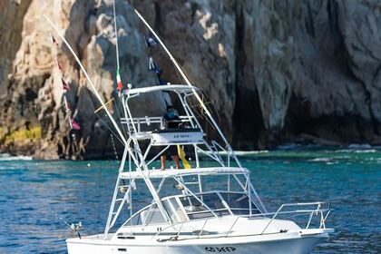 Hire Motorboat Fish Boat 31ft Cabo San Lucas
