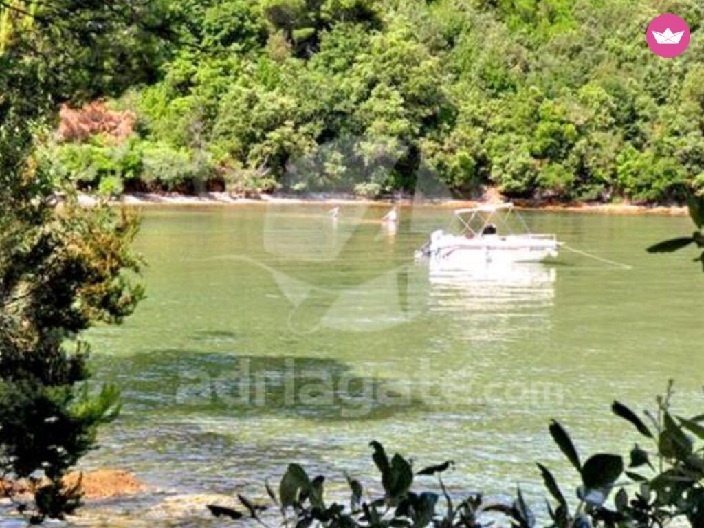 Quicksilver 635 Commander в Задар для аренды