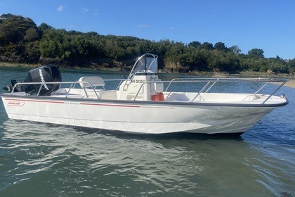 Miete Motorboot Boston-whaler Montauk 190 Saint-Malo