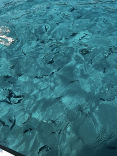 Menorca Motorboat BMA 221 X222 alt tag text