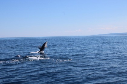 Aquabat Sport Infinity 21