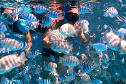 Charter Sailboat LANCER 36 Noumea