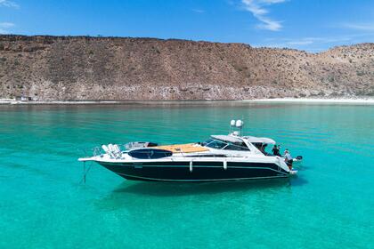 Rental Motorboat Sea Ray sundancer La Paz