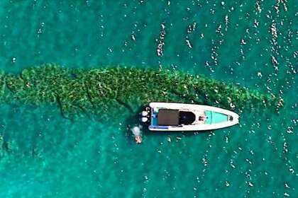 Half day Cruise in limassol