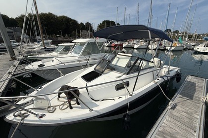 Miete Motorboot Bayliner Trophy Perros-Guirec
