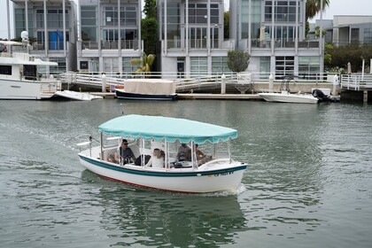 Rental Motorboat Duffy 21 Newport Beach
