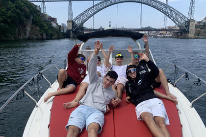 Knot Working - Cruises from 180€