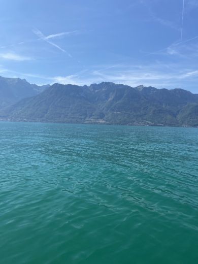 Évian-les-Bains Motorboat Bayliner 175 br alt tag text