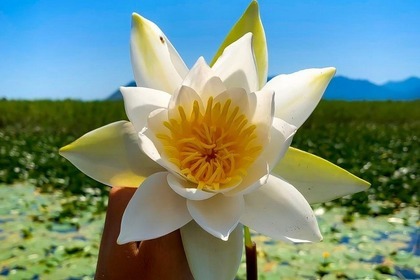 Explore Skadar lake with us!