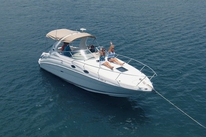 Charter Motorboat Sea Ray 280 Sundancer Clearwater Beach