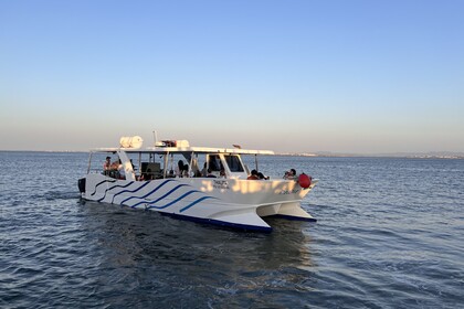 Rental Motorboat Nautiber Terrace 12m Lisbon