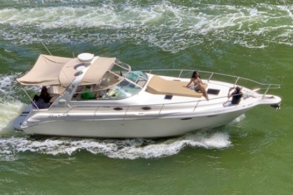 Rental Motorboat Sea Ray Sundancer 340 Miami Beach