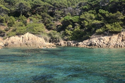 cappelli tempest 775