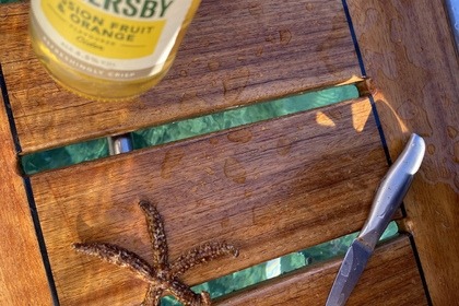 Experience Zadar Archipelago on private boat tour