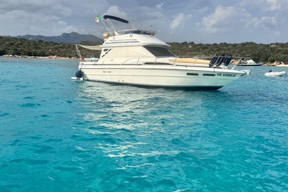 Hire Motorboat Sea Ray 340 Sedan Bridge Porto Rotondo