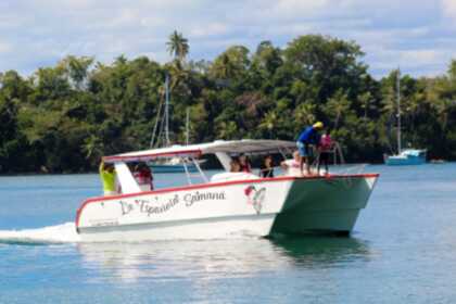 WHALES IN SAMANA FROM JANUARY TO APRIL, WHALES VISIT US. THEY COME EVERY YEAR TO MATE AND GIVE BIRTH. ENJOY THE SHOW IN COMFORT. HAITISES AND CAYO LEVANTADO AND THE WHALES