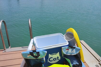 SkipperCat's WHALY - WITHOUT LICENCE