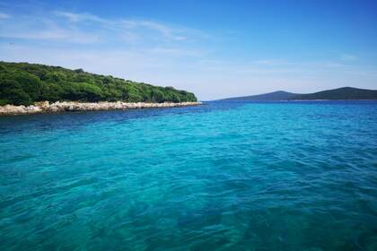 Prince 570 open Suzuki 140hp