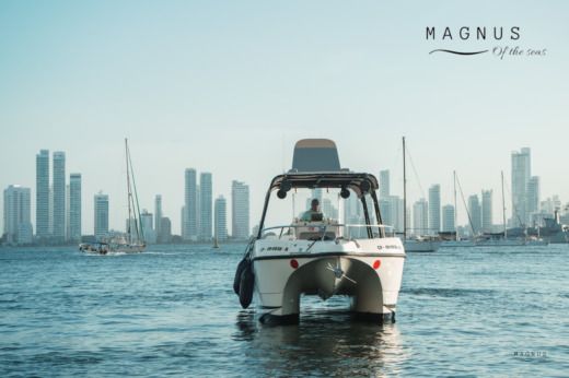 Motorboat YatchCat 2008/2015 Σχέδιο κάτοψης σκάφους