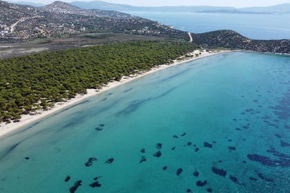 "Summer Dream" Perfomance Rib Boat Tour