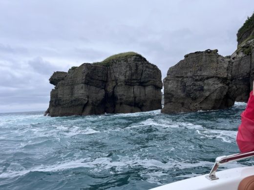 Хихон Motorboat Nireus Cl620 alt tag text