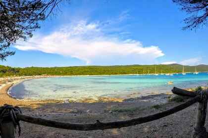 Prince 570 open Suzuki 140hp