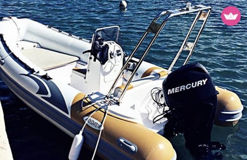 Predator 490 in Zadar for rental