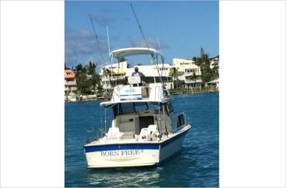 Location Bateau à moteur Allman Sport Fisher 35 Nassau