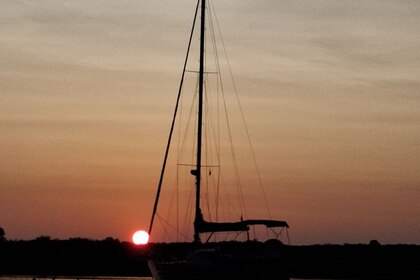 Sailing trips to enjoy