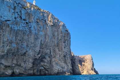 Quicksilver Commander 500