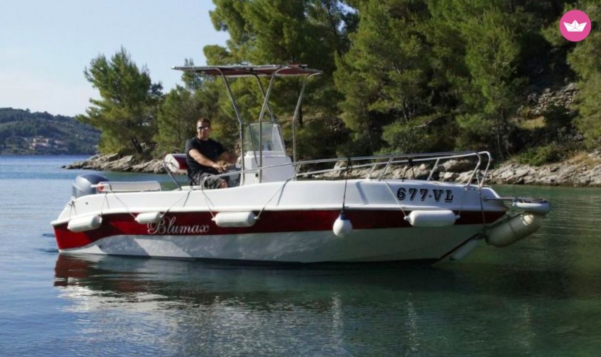 Blumax 550