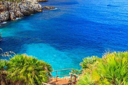 Bluline 19 open 40 CV