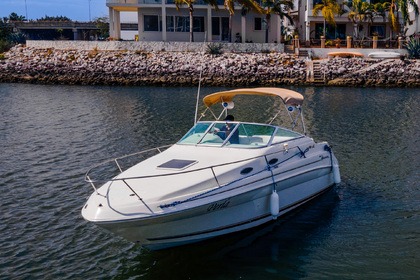 Sea Ray 240 Sundancer