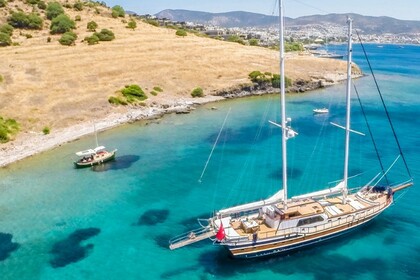 Deluxe Gulet Artemis - 24 Mt